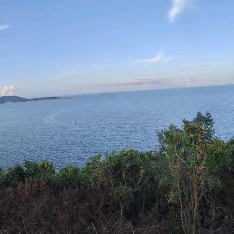 无锡中茂新材料有限公司