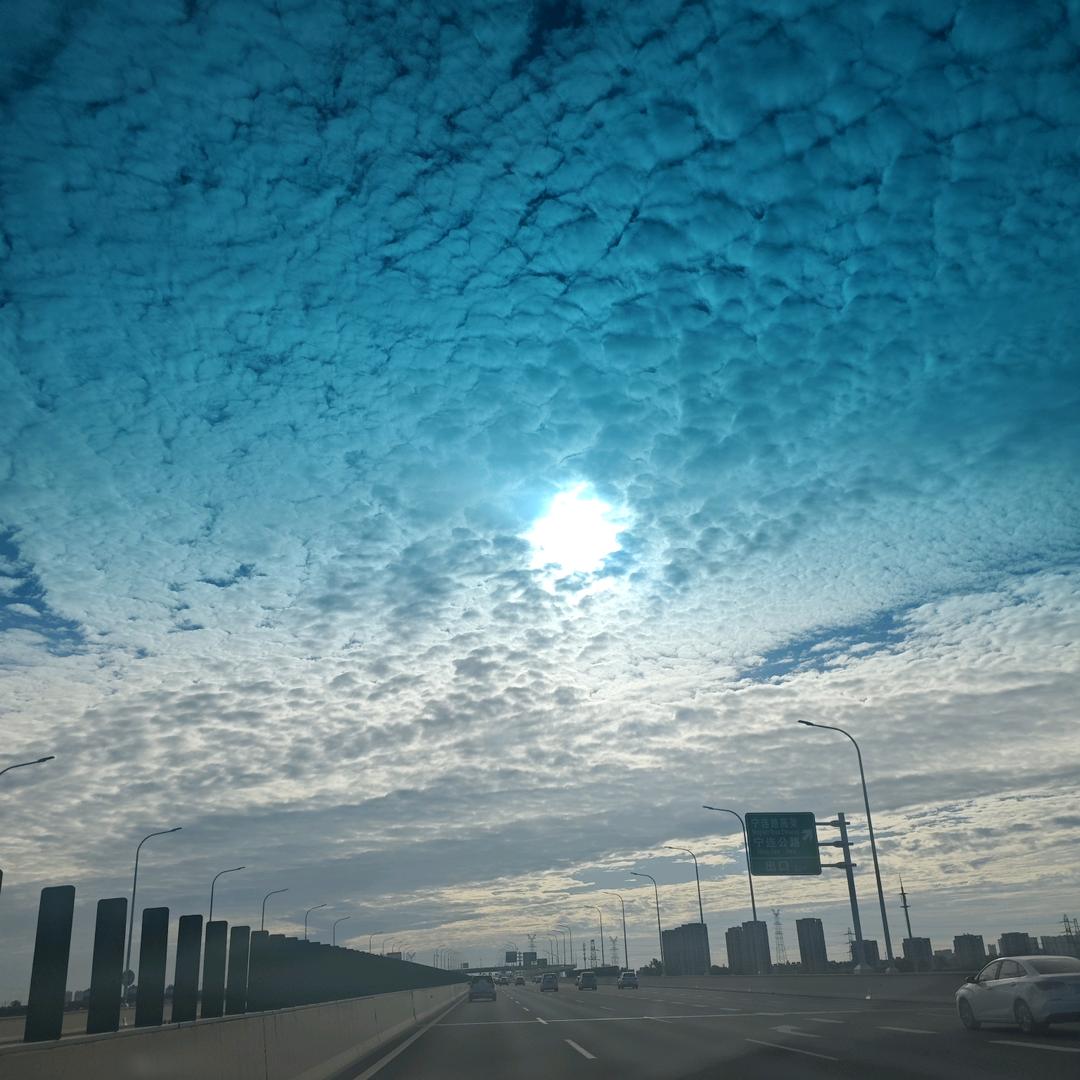A、阿宝
