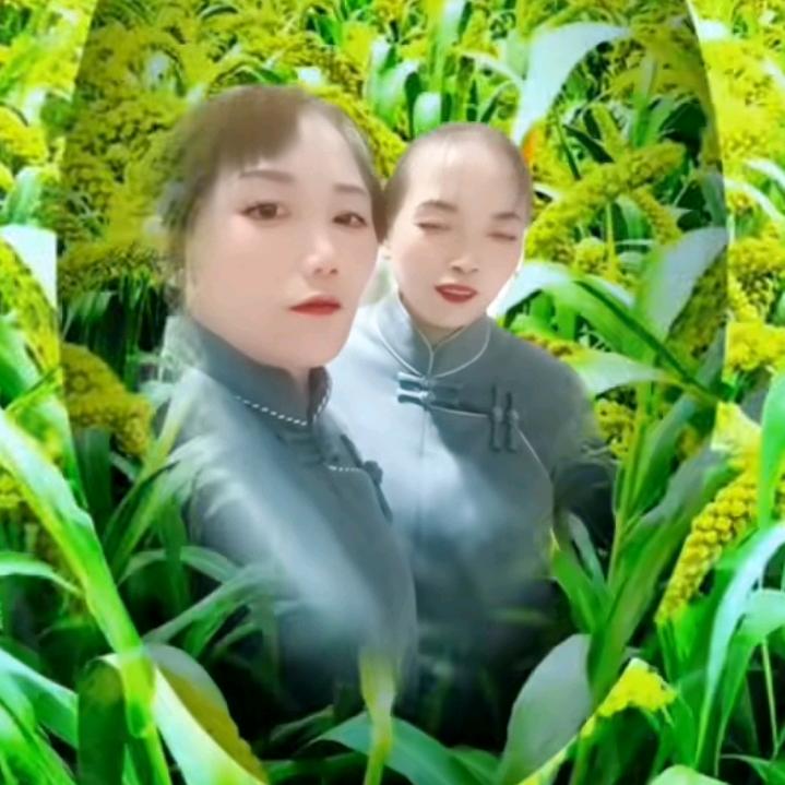 花开花落……