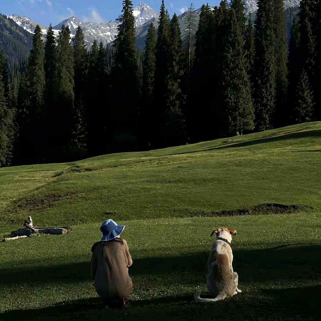 爱吃芒果的榴莲