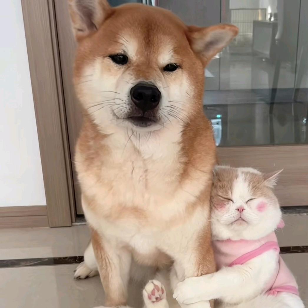 🫧气泡养乐多🤯