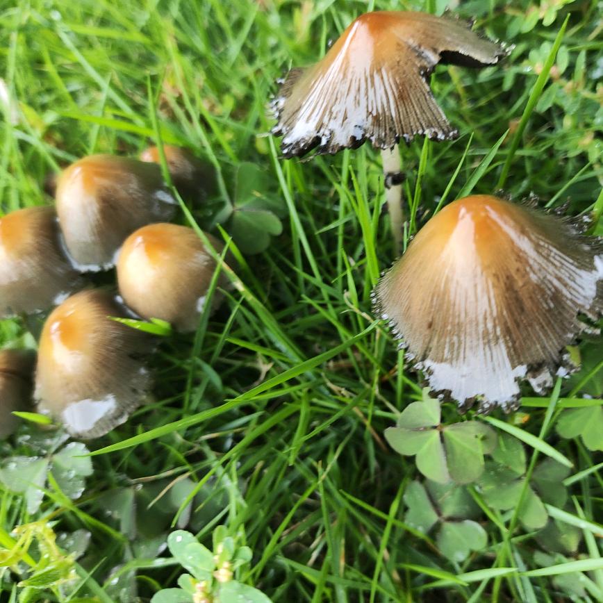 想写小说