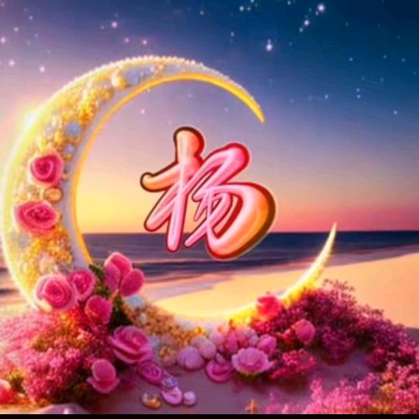 纳爱，太虑伪