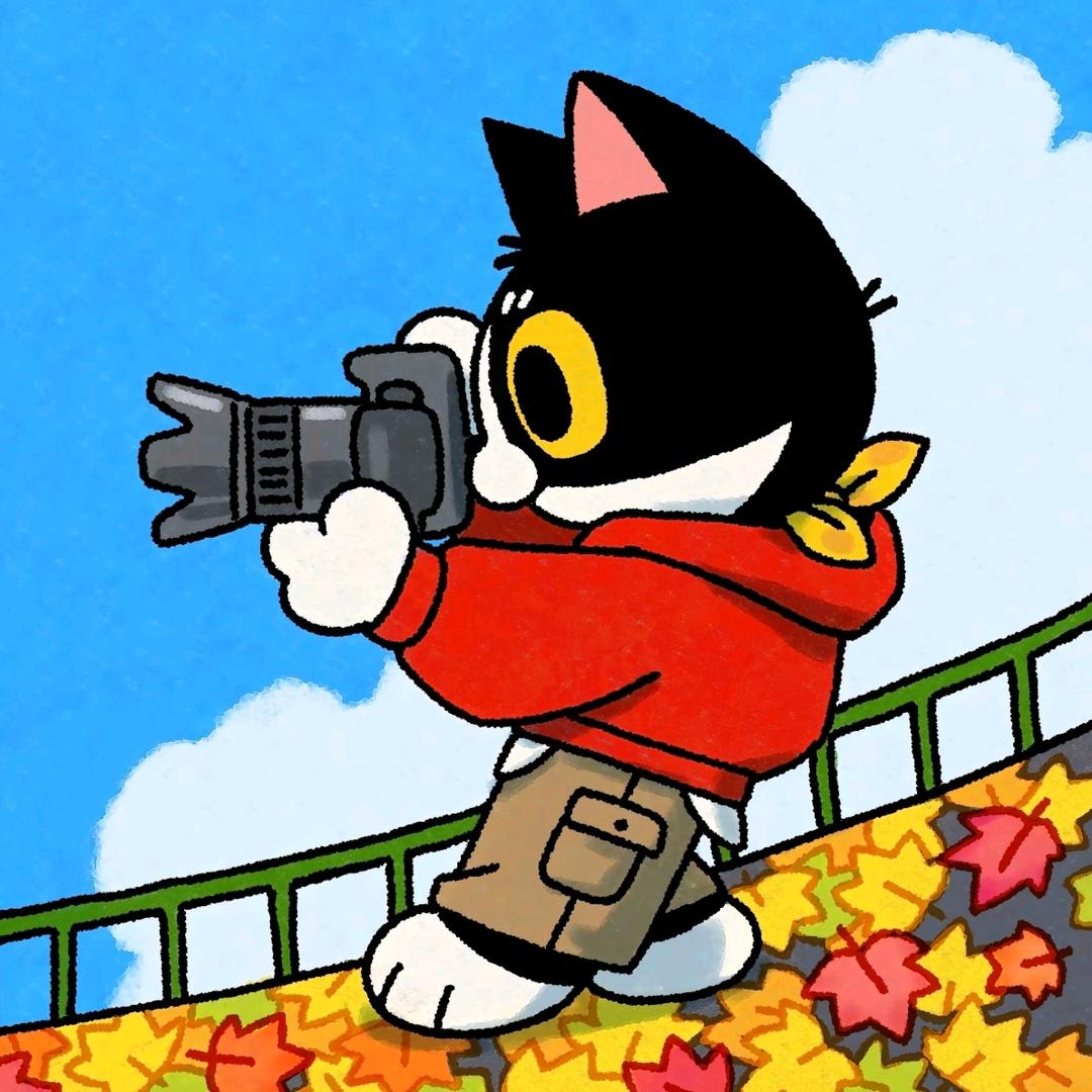 六安婚礼摄影师朱休文