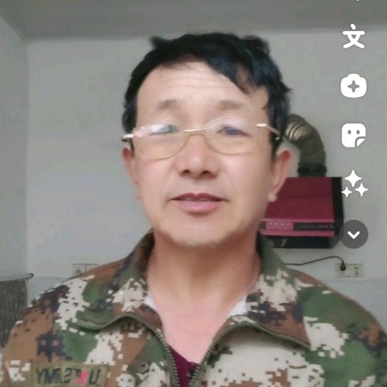 龙飞凤舞