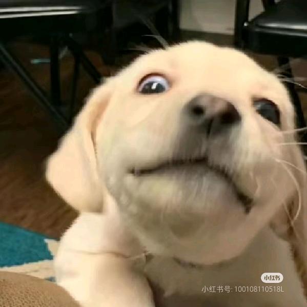 噔噔噔噔噔