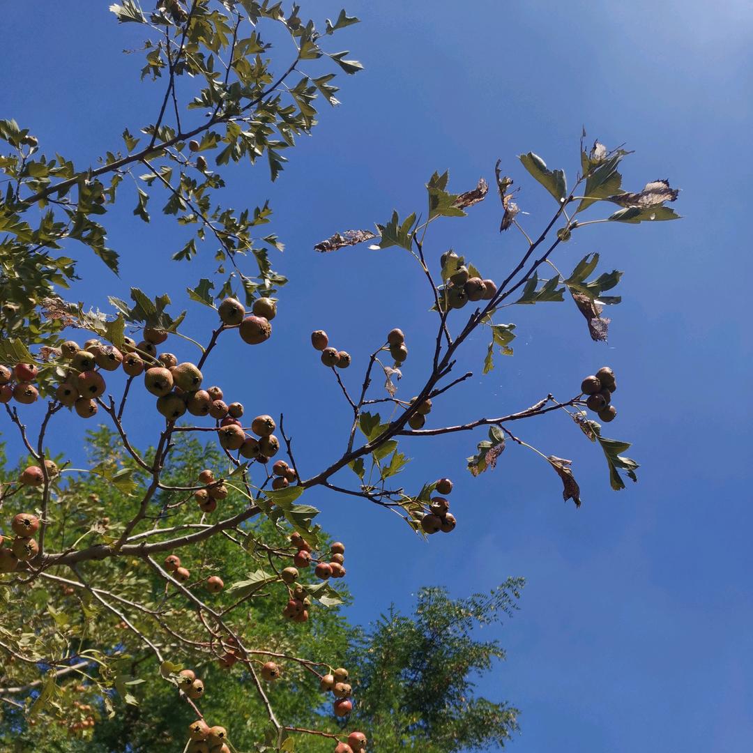 用户2399444705393LJ