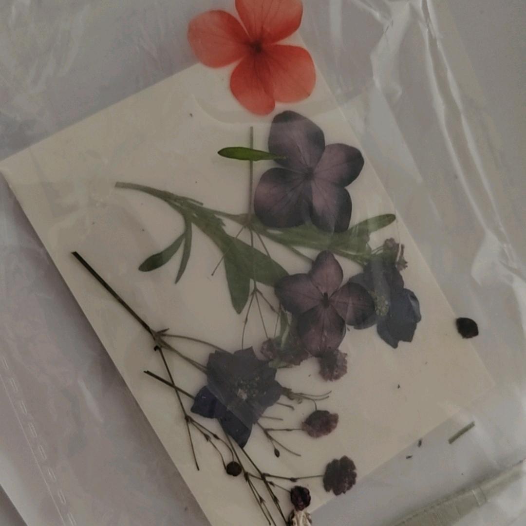 往事清零