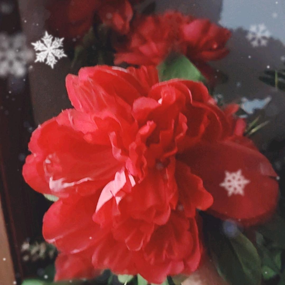 曹阿瞒“”