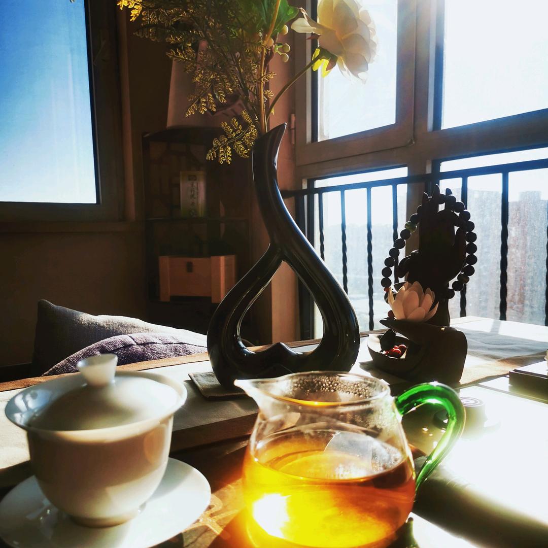 西西🔥归心之旅
