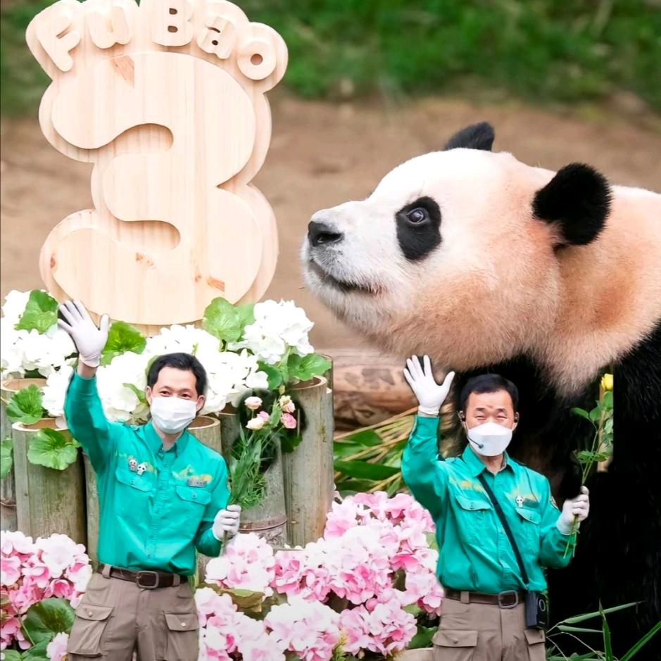 ❤️Fu~宝❤️Love