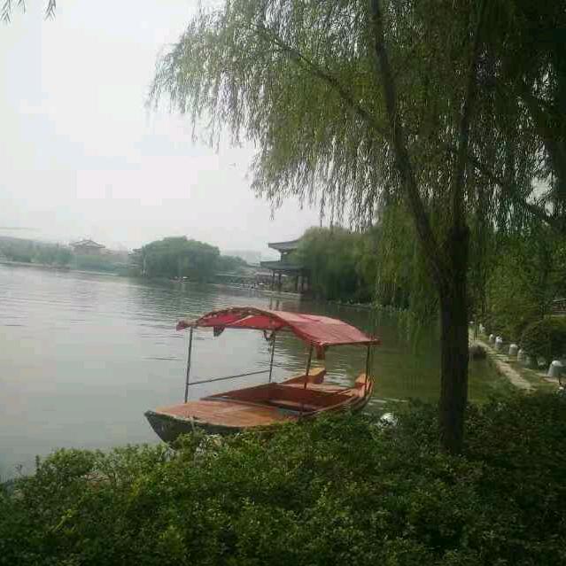 小马一