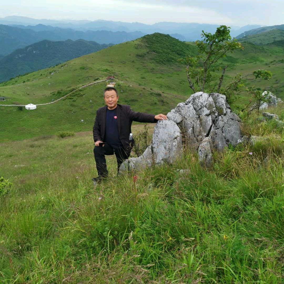 主营猪苓，南五味，南沙参，银柴胡，薤白