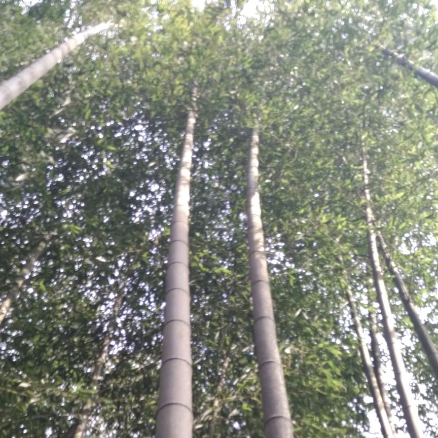 心之向往’超人