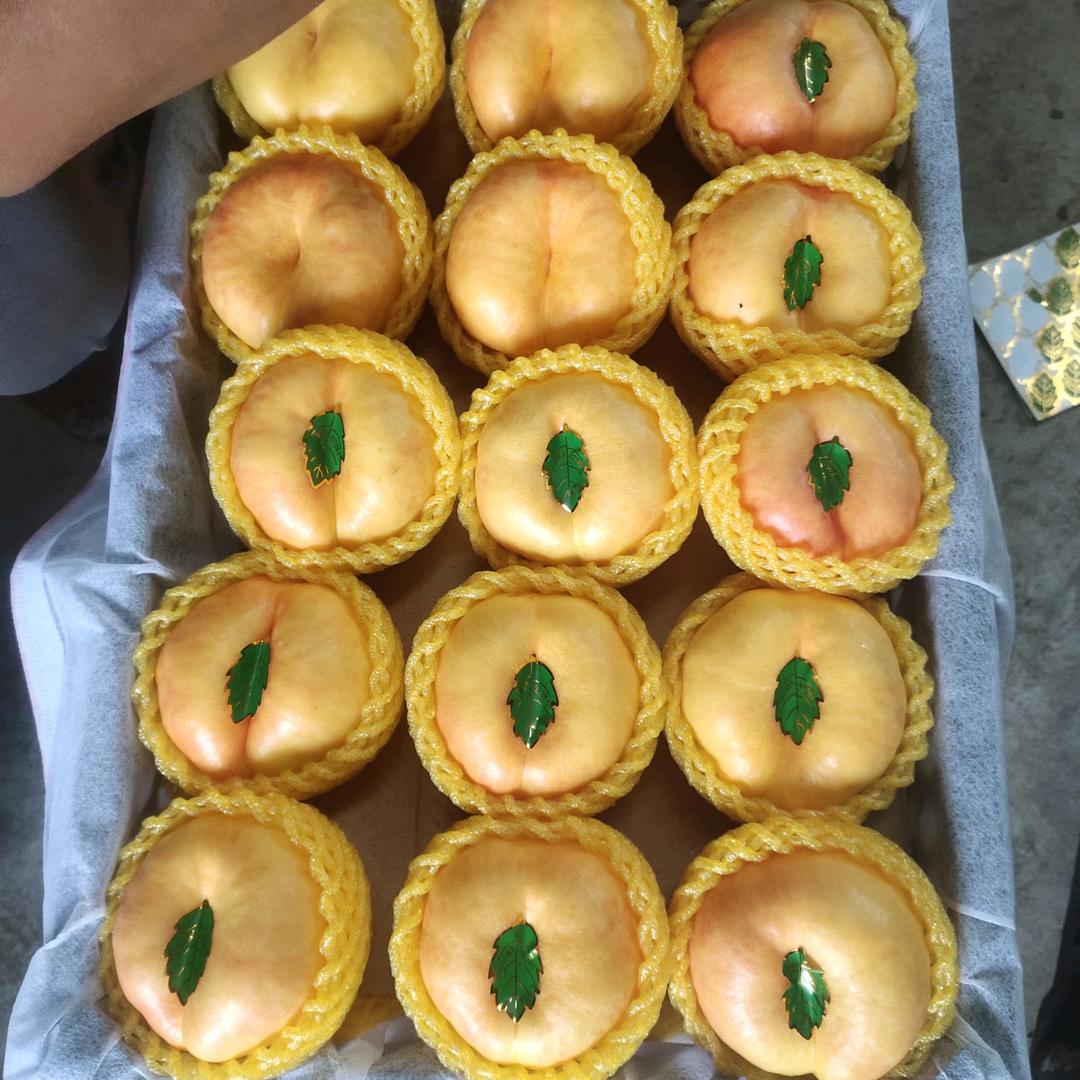 小郭应季水果