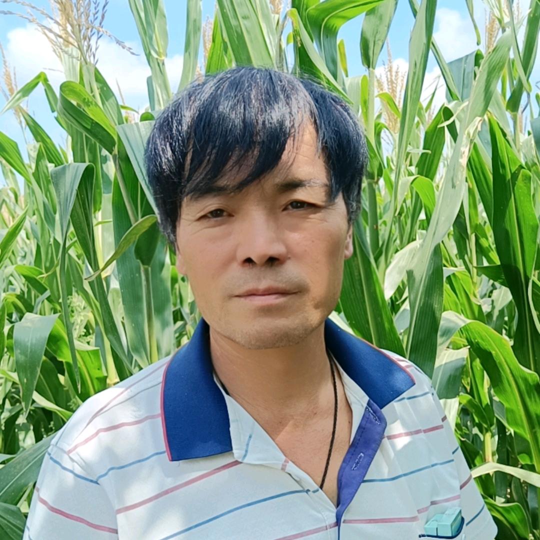 大理