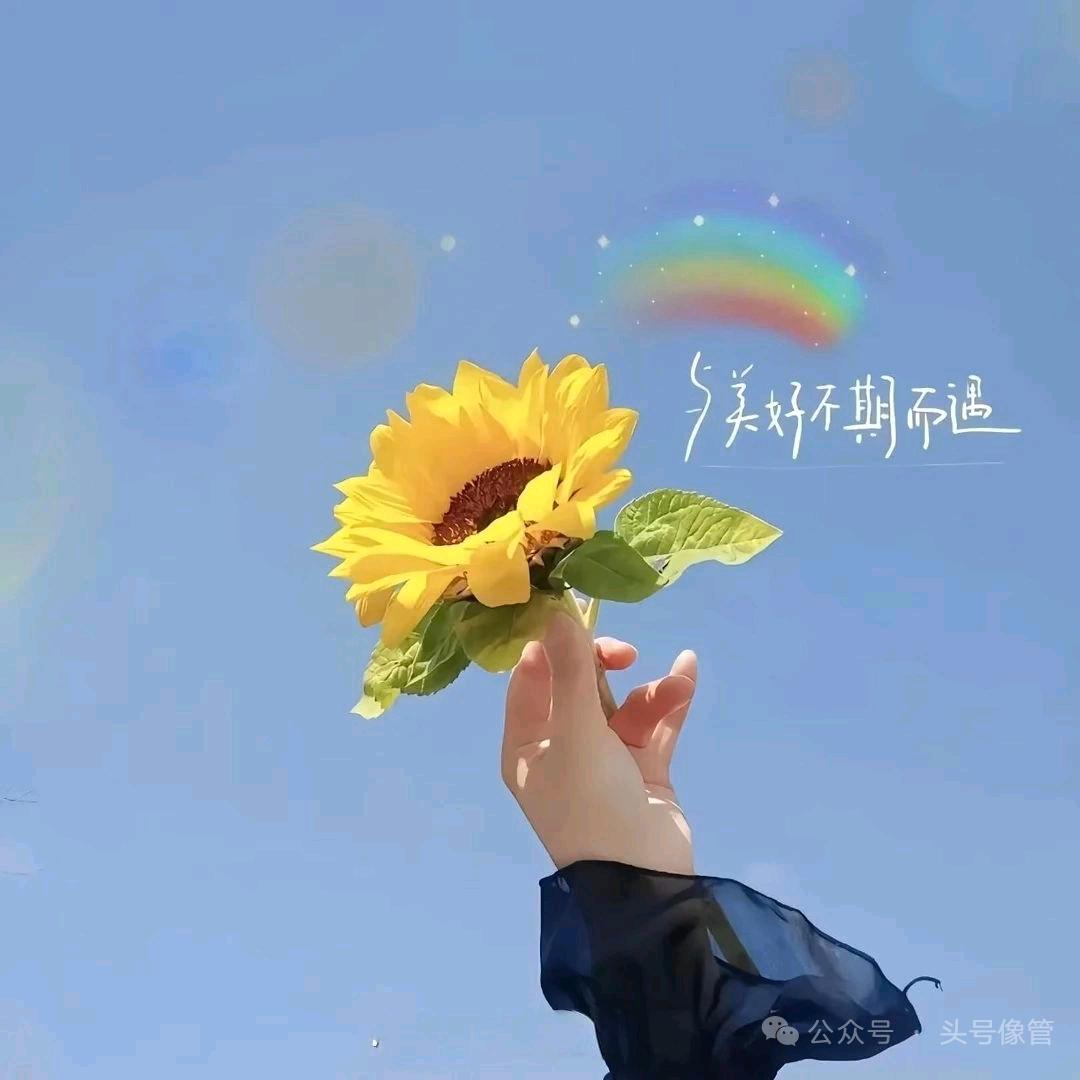 解解🇨🇳