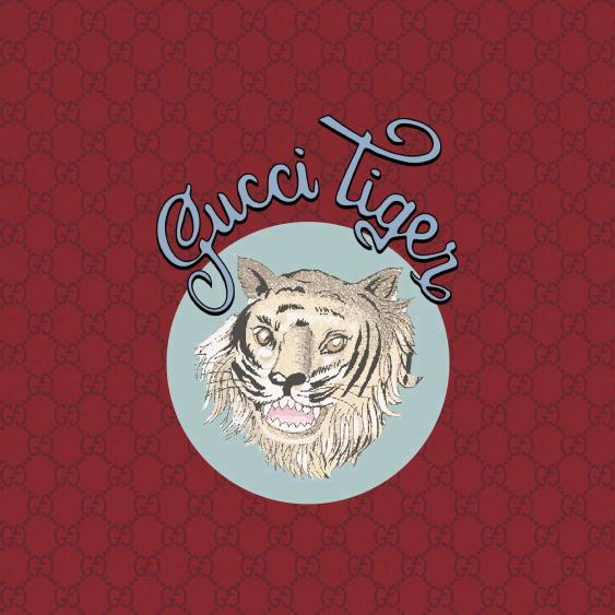 大陈🎆烟花爆竹