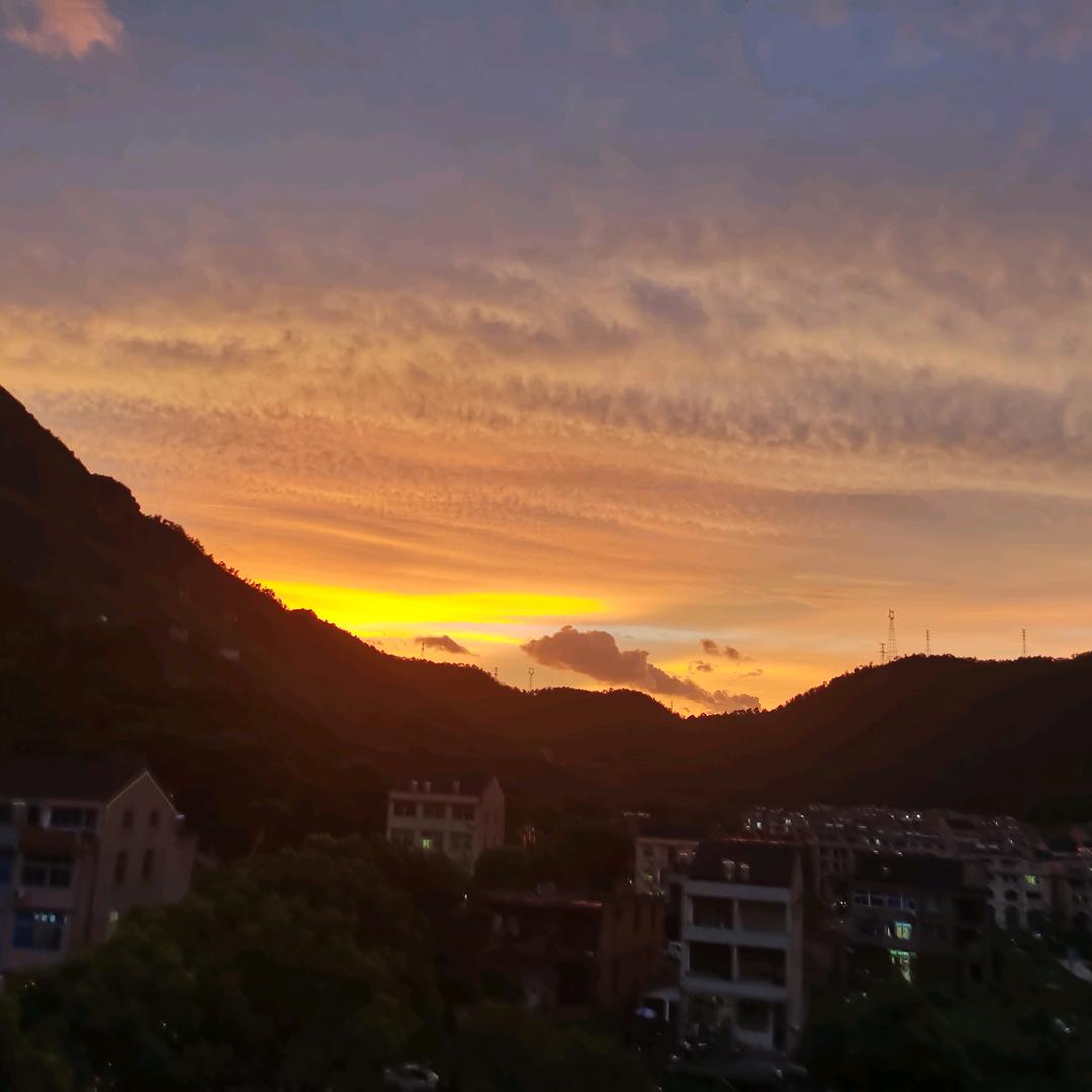 张应琴