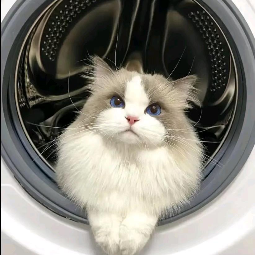 风会吹回曾经的过往吗