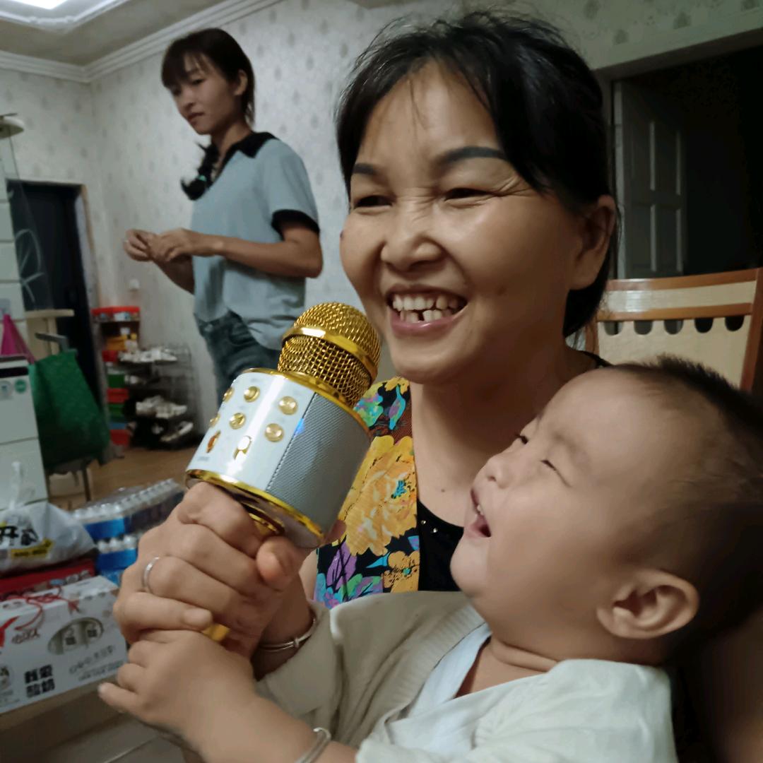龙菊