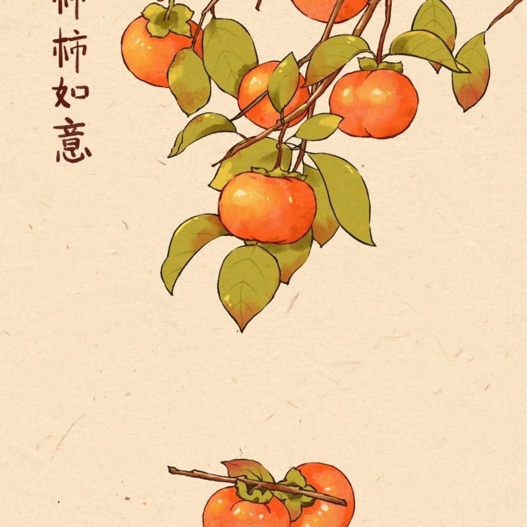 费费贝贝