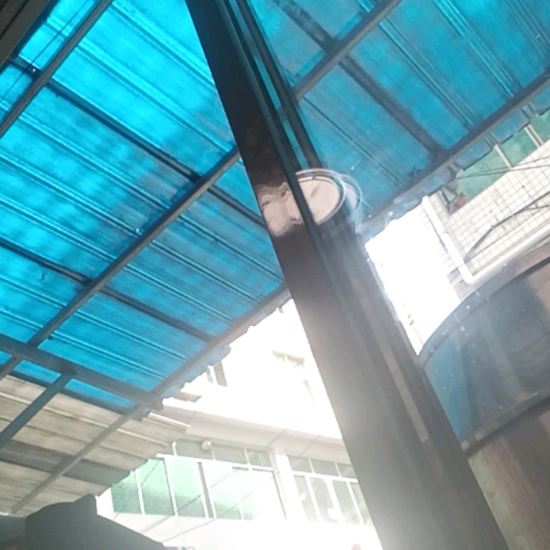 小天鸟