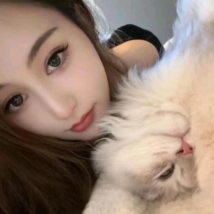 人间妄想顾青悲