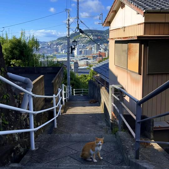赴日工签～森もり