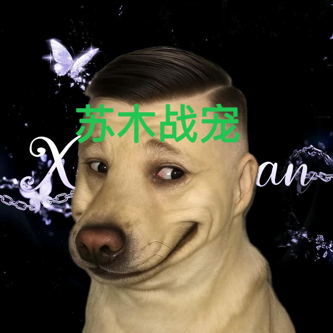 岚菱⭐️