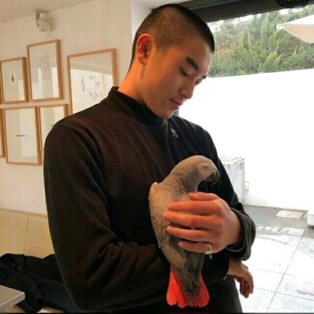 通知