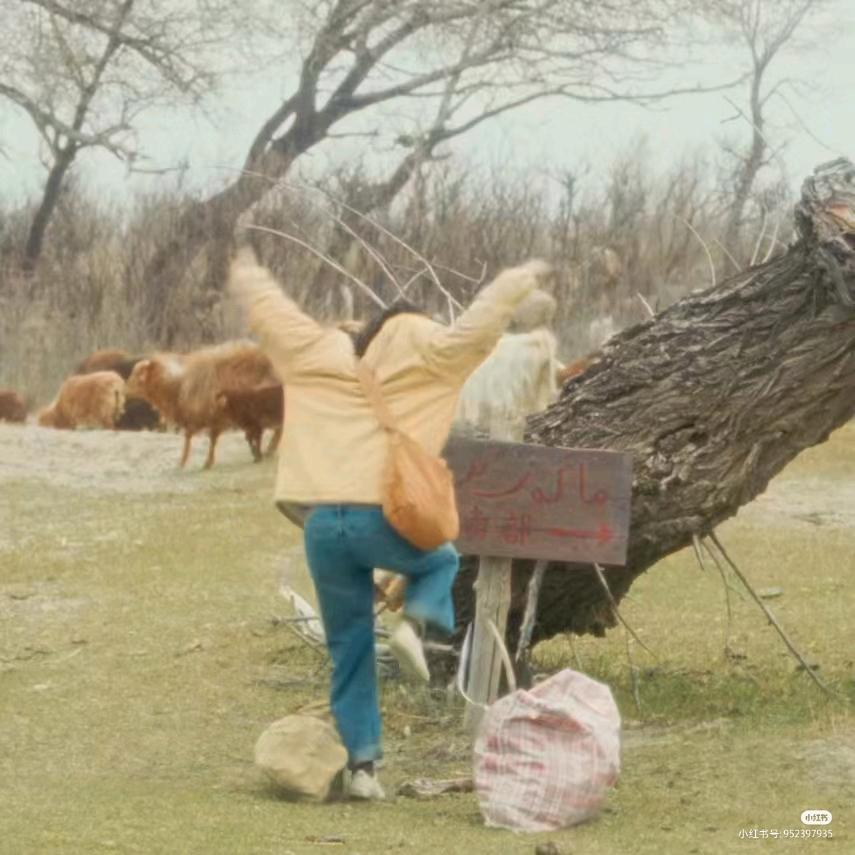 一棵梧桐树🌲🐟