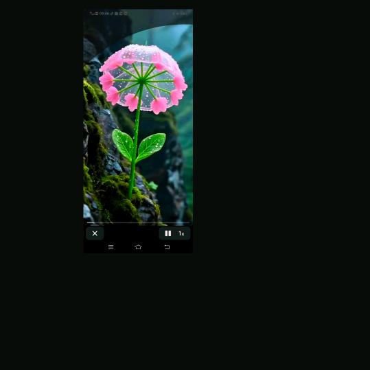 想念!……!永远放在❤️里