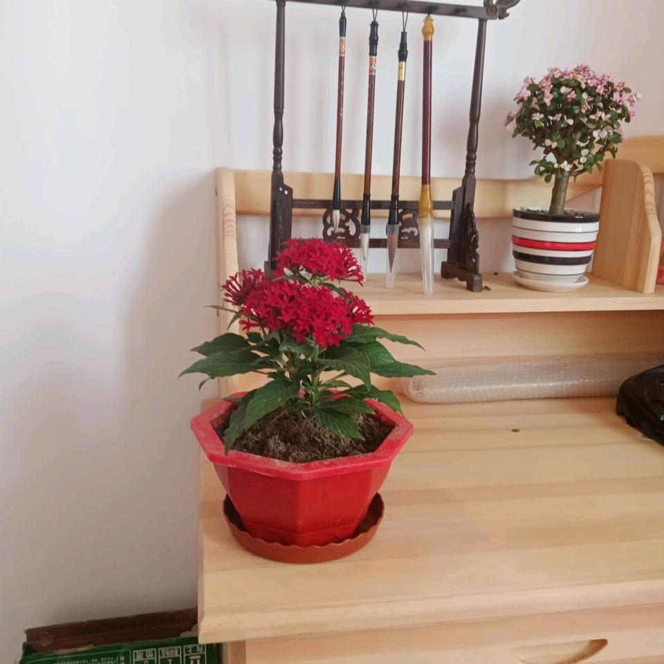 经