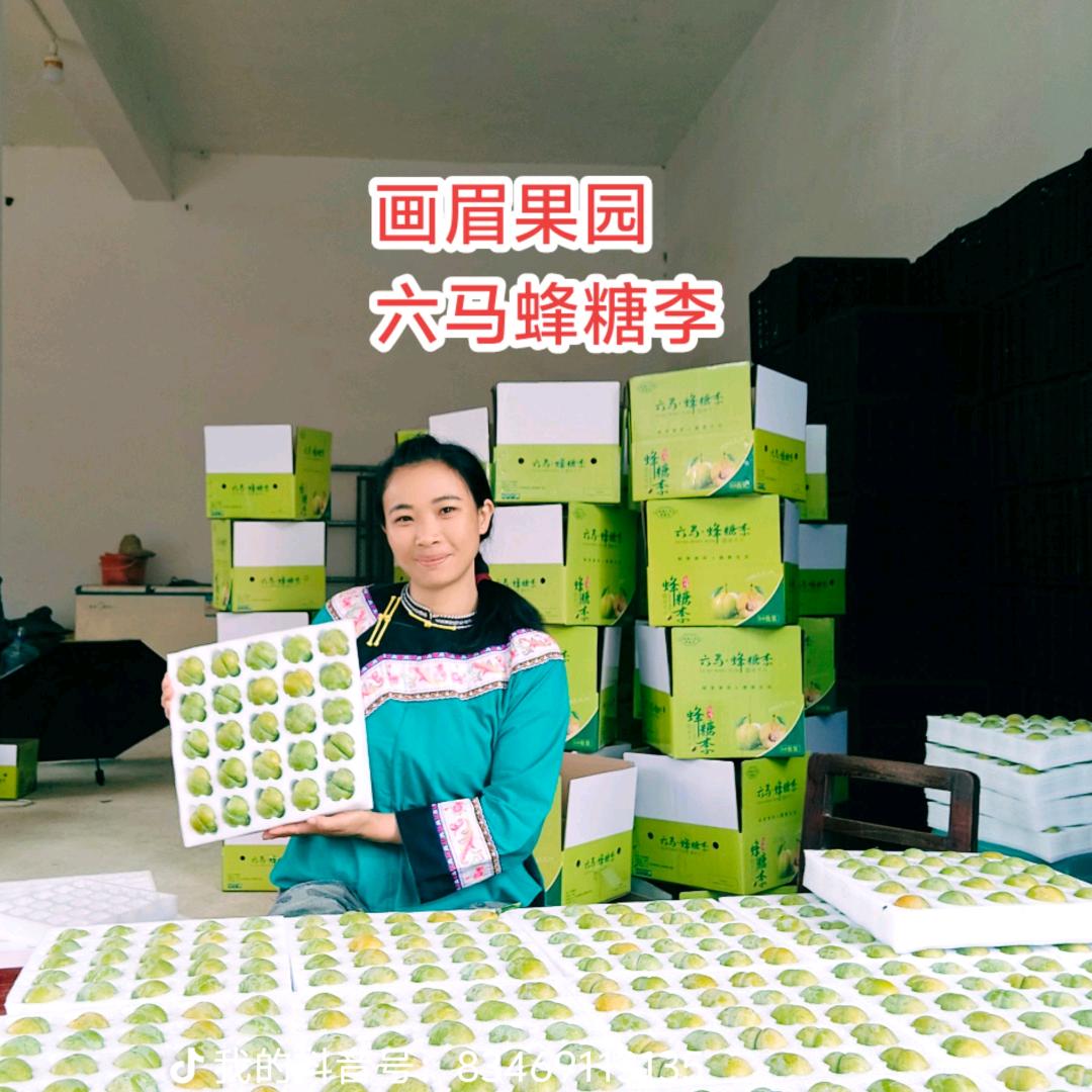 六马金富楼蜂糖李专营店