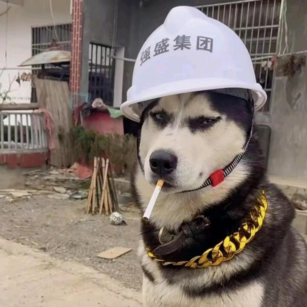 谁还没年轻过？