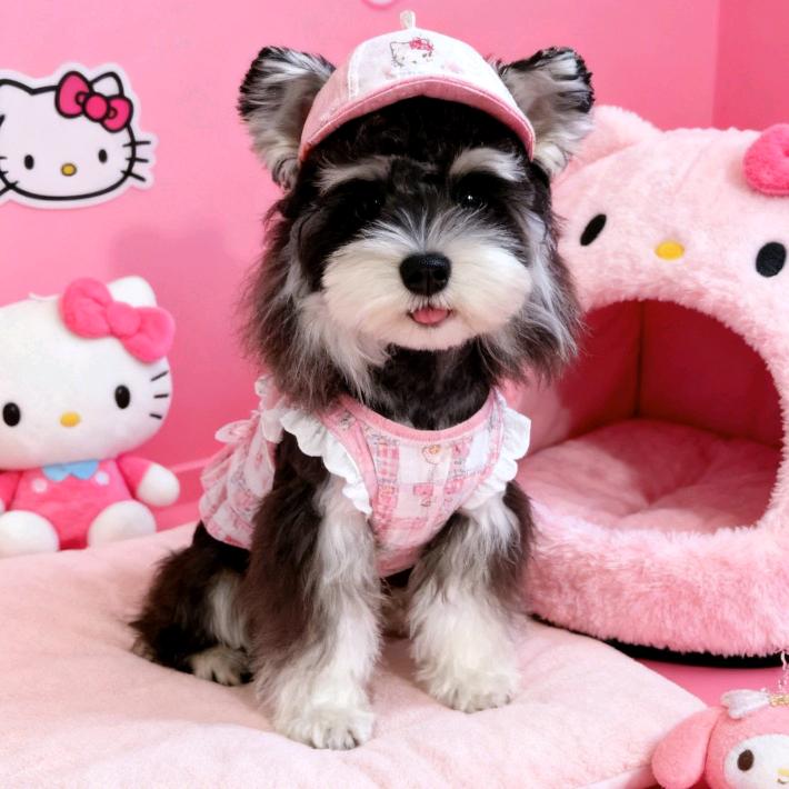 默默MomoLife