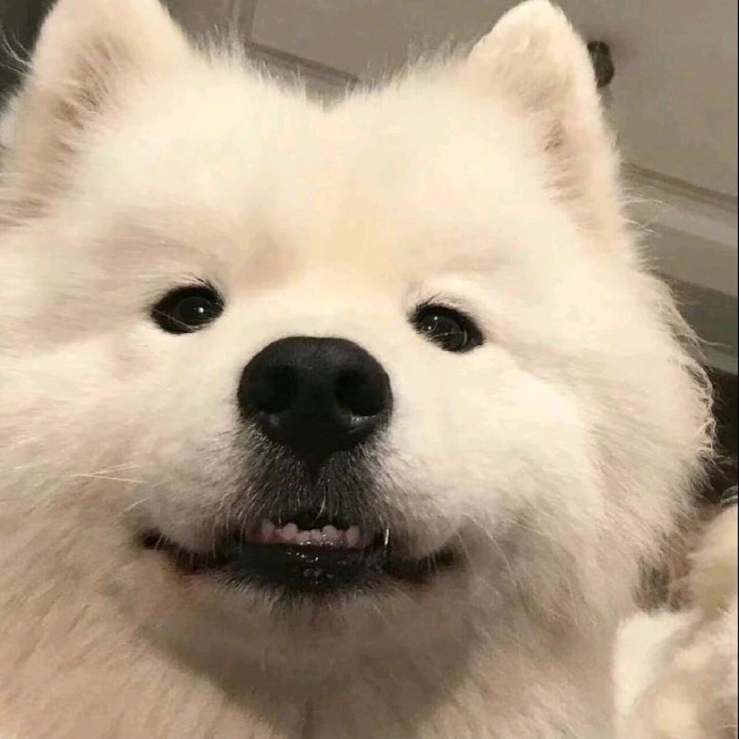 贰仁专