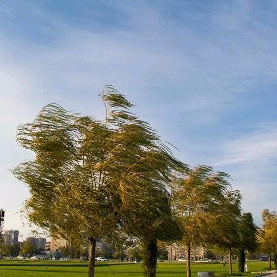 人生财富：：：、