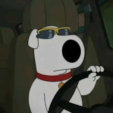 风的方向决定发型