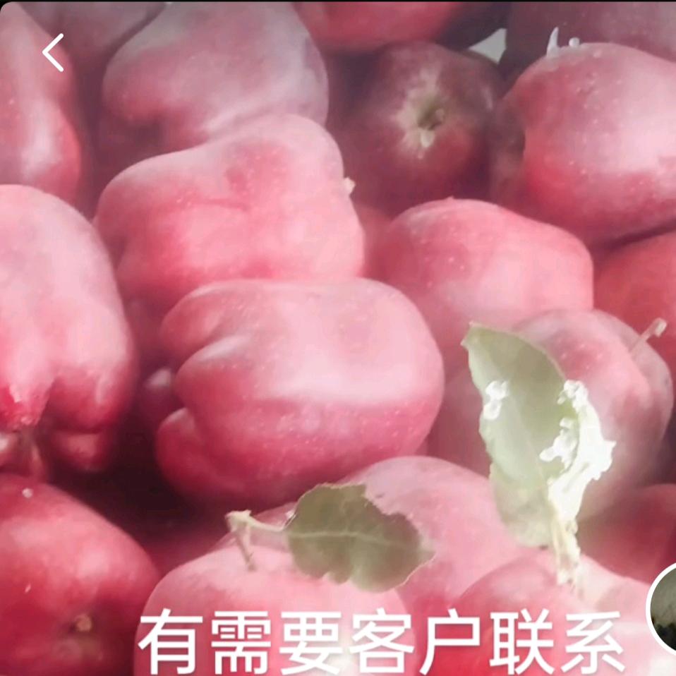 从头再来，⛰️⛰️⛰️⛰️⛰️⛰️⛰️⛰