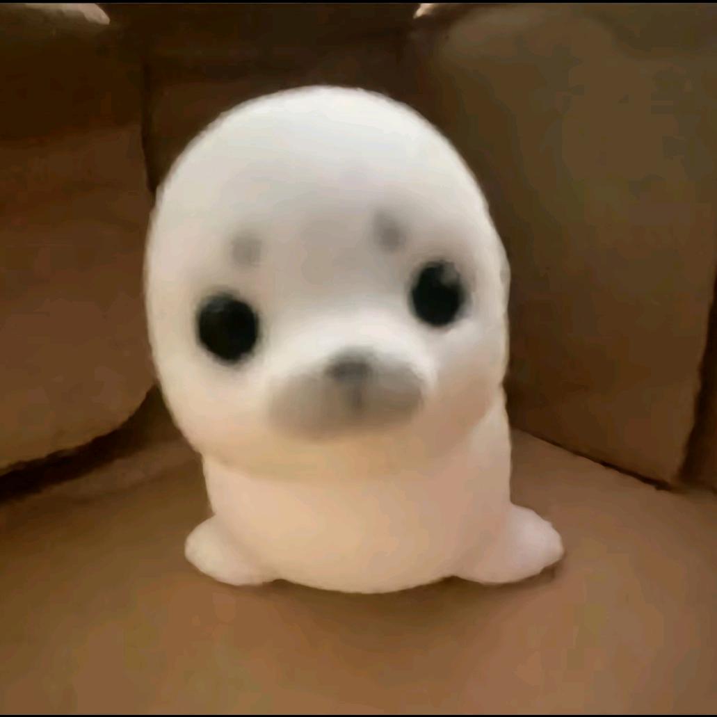 一条懒鱼^