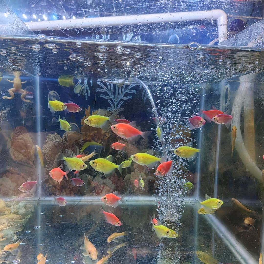 一生牵挂   米佧