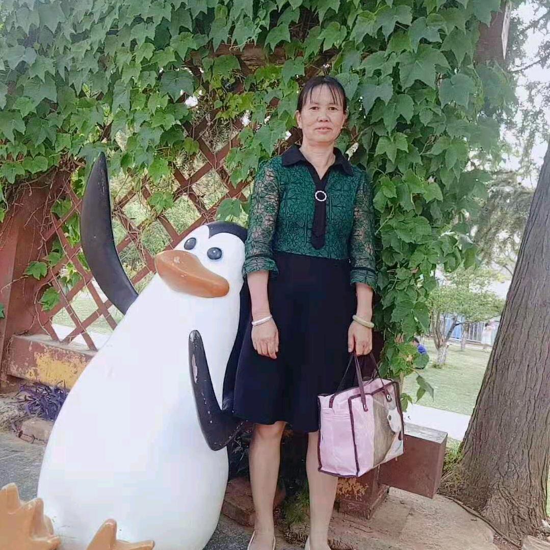 一帆风顺👸