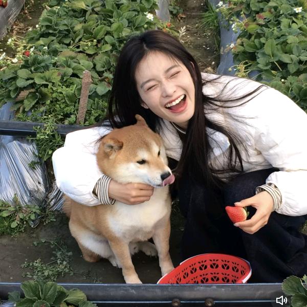 🍓烦恼