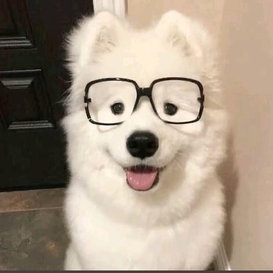姜迟熙