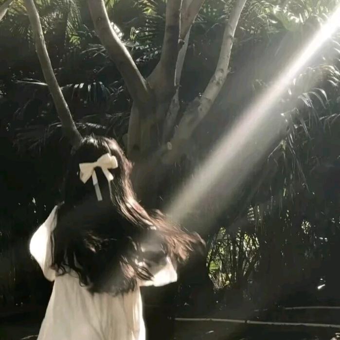 小灵💤