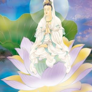 清莲居士