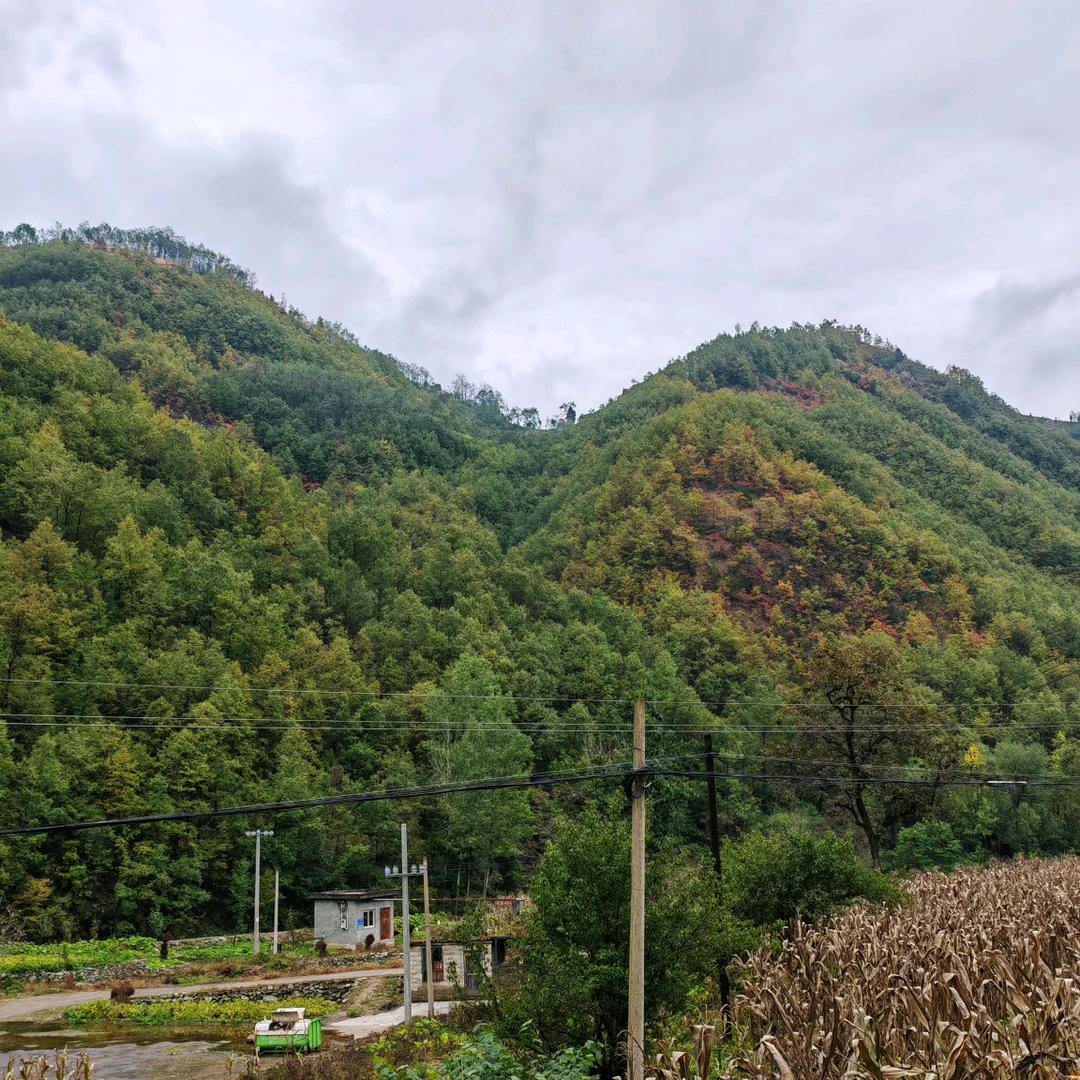 因为幸福有晴天