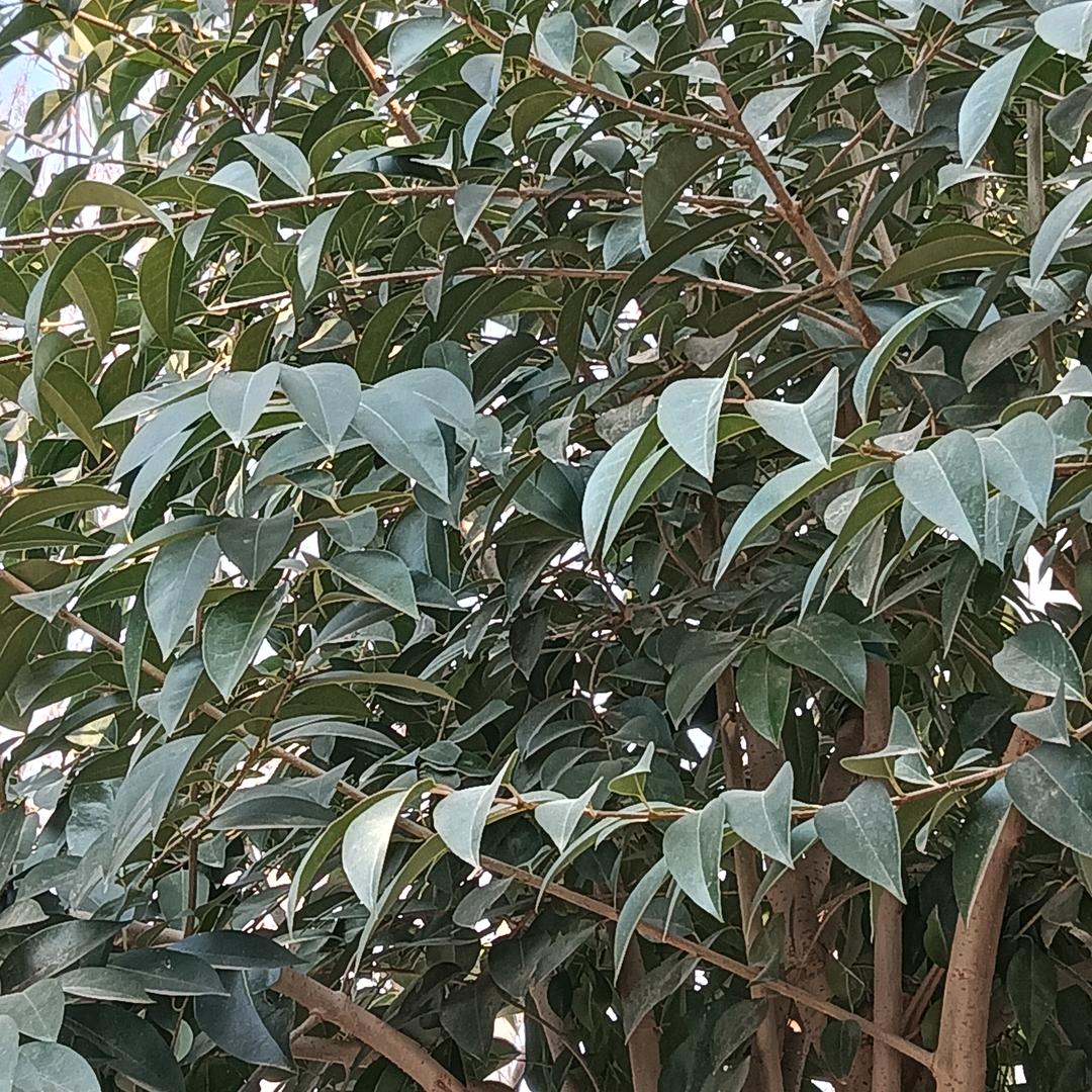 靠谁不如靠自己